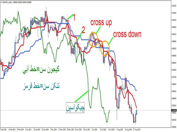 تصویر تاییدیه توسط چیکو اسپن