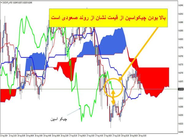 مطالق تصویر- چیکو اسپن بالاتر از قیمت می باشد